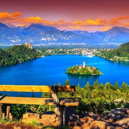 Alpine Cottage Bled Bagian luar foto